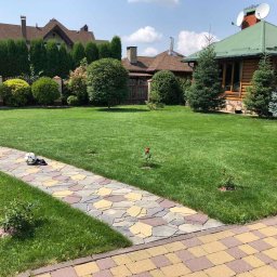 Przycinanie drzew Warszawa 3