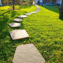 Przycinanie drzew Warszawa 2