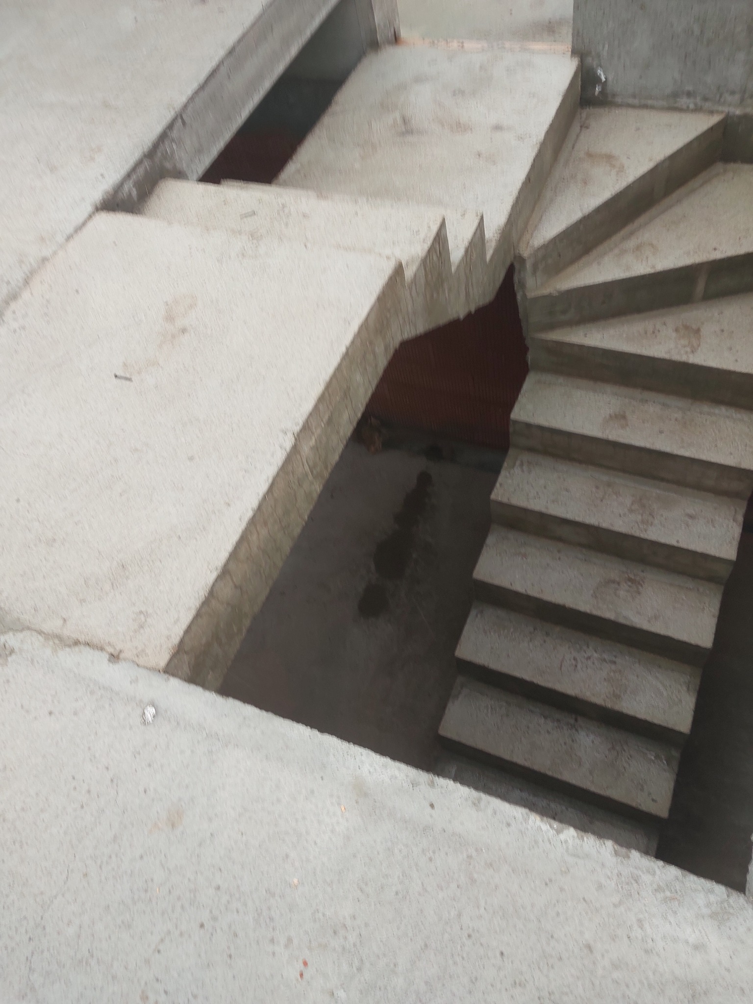 Surowe, spiralne schody z betonu w trakcie budowy, widoczne szare stopnie i fragment podłoża z ceglanym tłem, na powierzchni betonu widoczne niewielkie zabrudzenia.