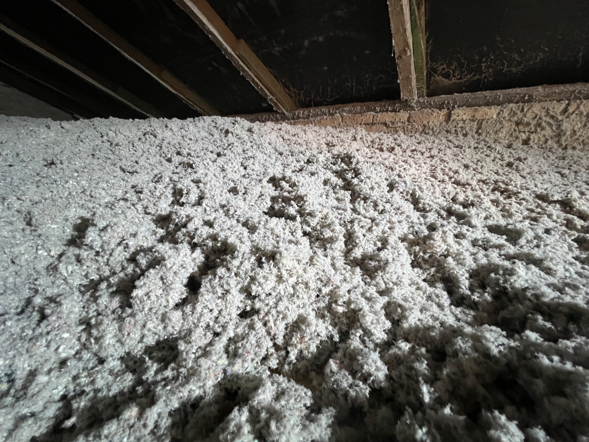 Szara, włóknista izolacja z celulozy wypełniająca przestrzeń poddasza, widoczne drewniane belki stropowe.