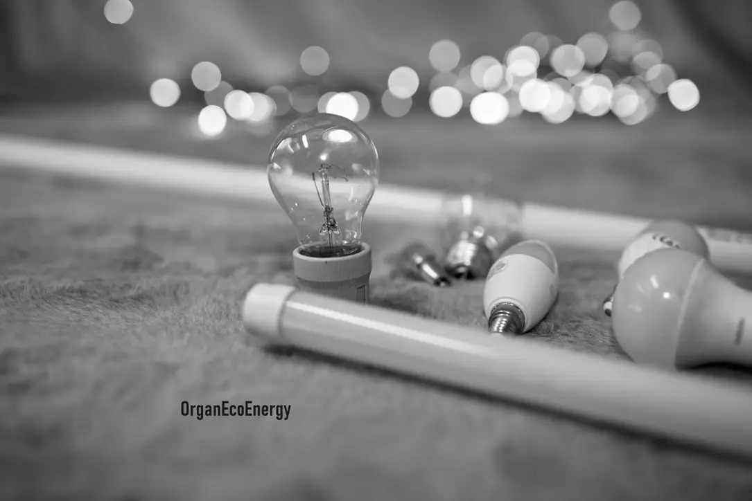 Czarno-białe ujęcie żarówki tradycyjnej w oprawce, obok świetlówki liniowej i żarówek LED na rozmytym tle z dekoracyjnymi światełkami.