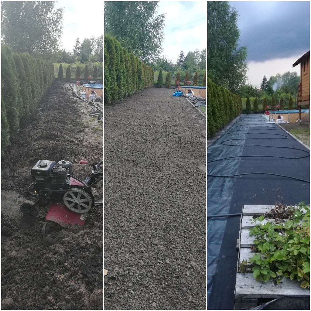 Trzyetapowy widok przygotowania terenu pod ogród: glebogryzarka w akcji, wyrównana ziemia, oraz rozłożona agrowłóknina z linią nawadniającą wzdłuż szpaleru tuj. W tle basen ogrodowy.