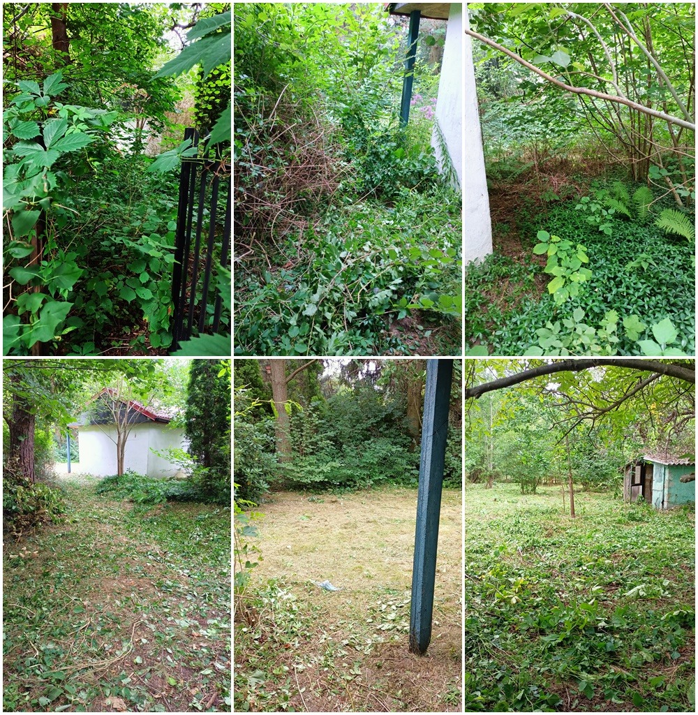 Kompozycja sześciu kadrów przedstawiających teren zarośnięty roślinnością przed i po wycince, widoczne ścięte gałęzie na trawie, fragmenty ogrodzenia i budynków w tle.