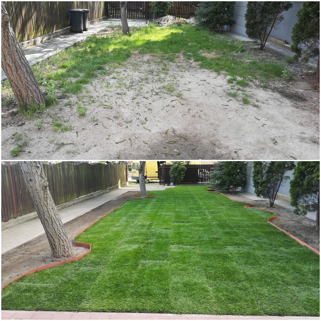 Porównanie terenu przed i po założeniu trawnika: widok na zarośnięty, zaniedbany teren w górnej części zdjęcia oraz zadbany, zielony trawnik z obrzeżem w dolnej części, drzewa wzdłuż ogrodzenia.