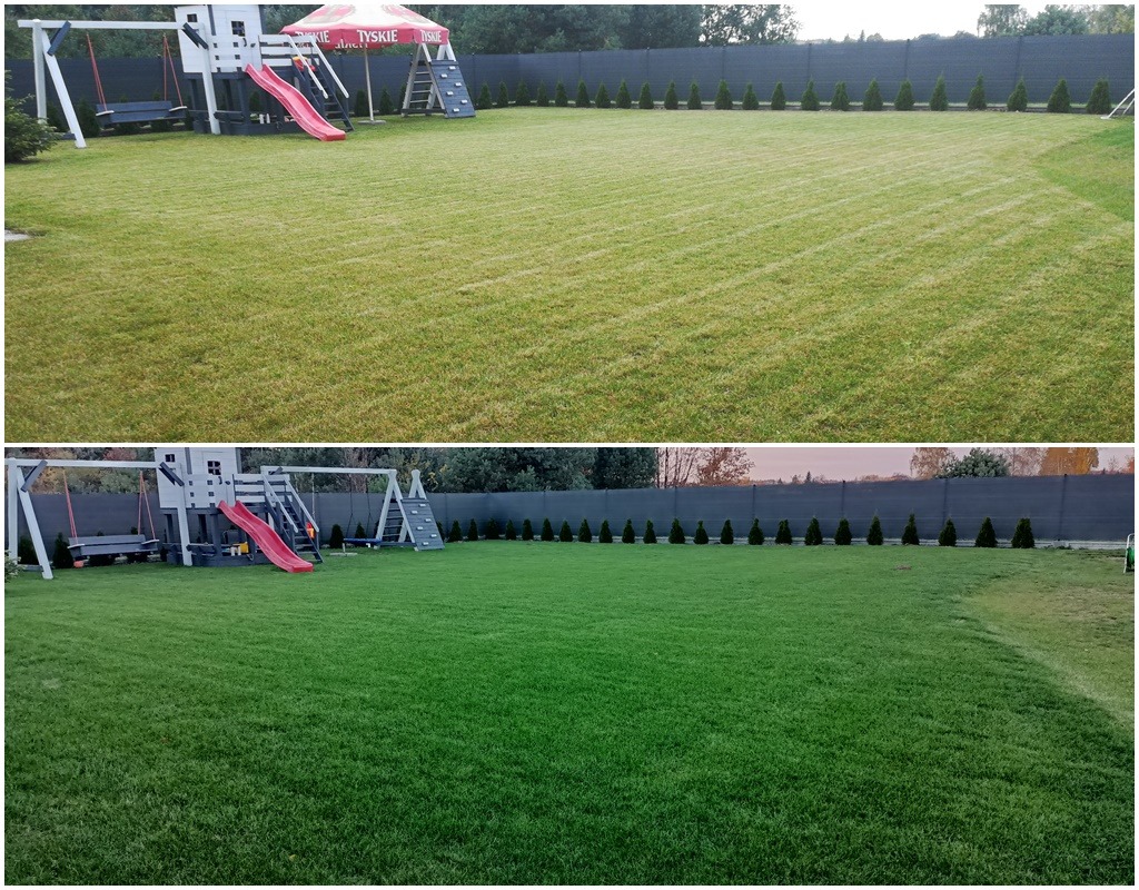 Porównanie trawnika przed i po zabiegach pielęgnacyjnych, widoczny plac zabaw, rząd tuj wzdłuż ogrodzenia.