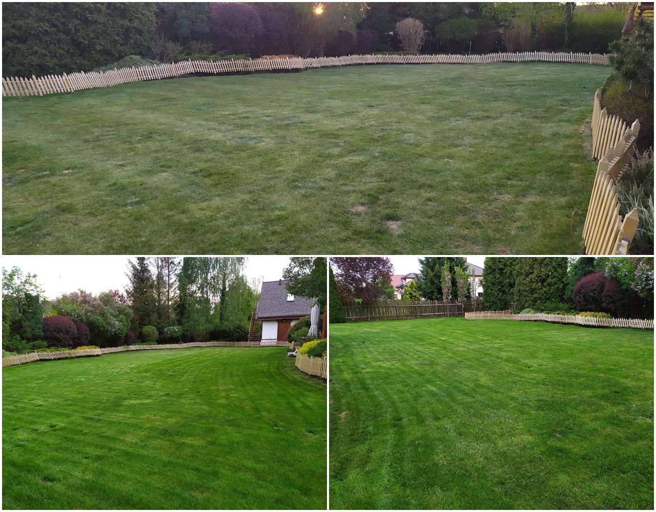 Rozległy, zadbany trawnik otoczony niskim, drewnianym płotkiem sztachetowym; widoczne ślady po koszeniu, drzewa i krzewy w tle, kompilacja zdjęć z różnymi kątami widzenia.