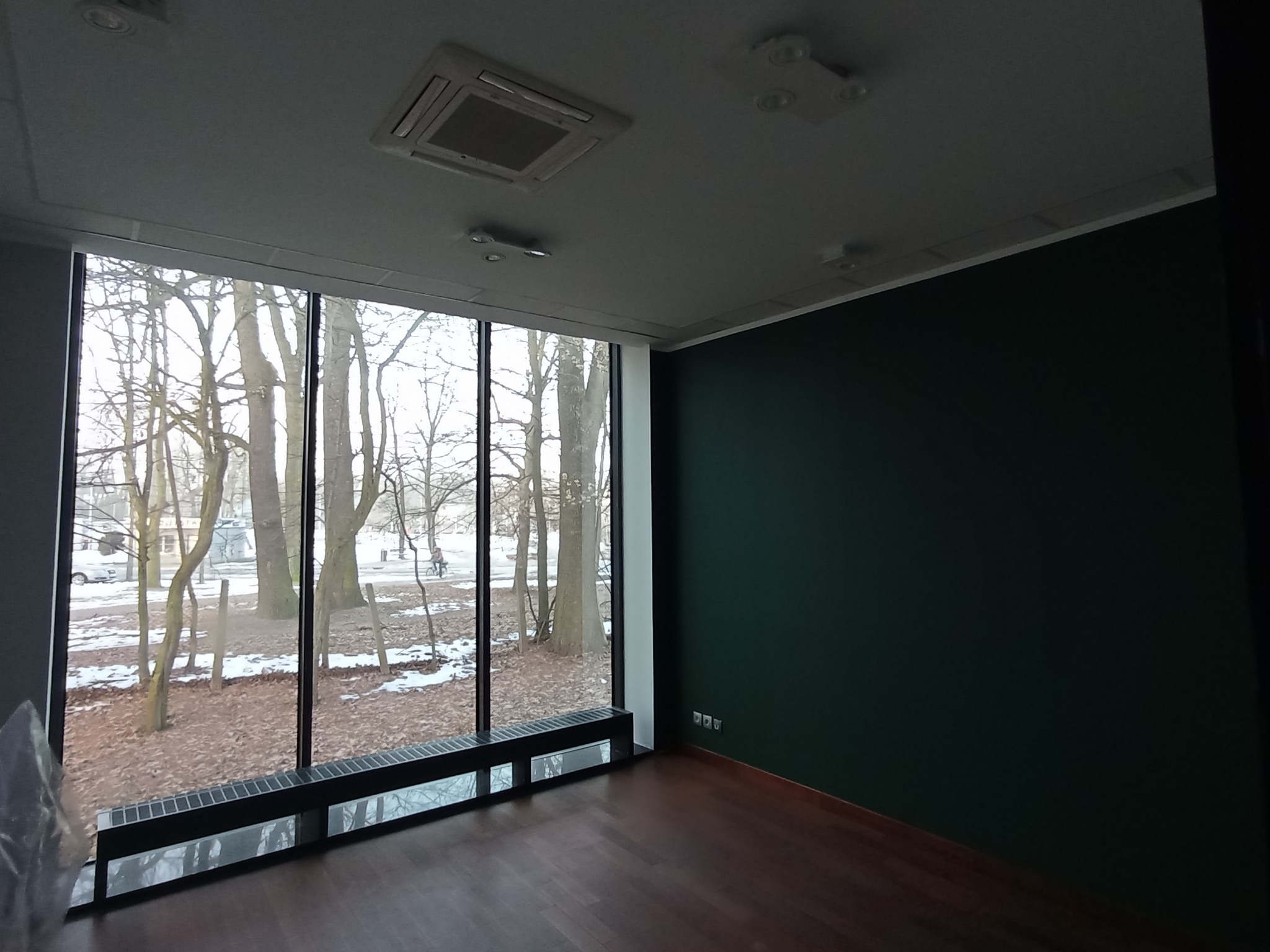 Wnętrze po malowaniu: ciemnozielona ściana, drewniana podłoga, duże okno z widokiem na park. Minimalistyczny design, chłodna kolorystyka, brak dekoracji.