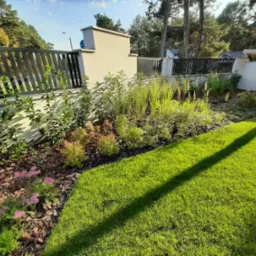 ogród leśny wśród sosen i dębów