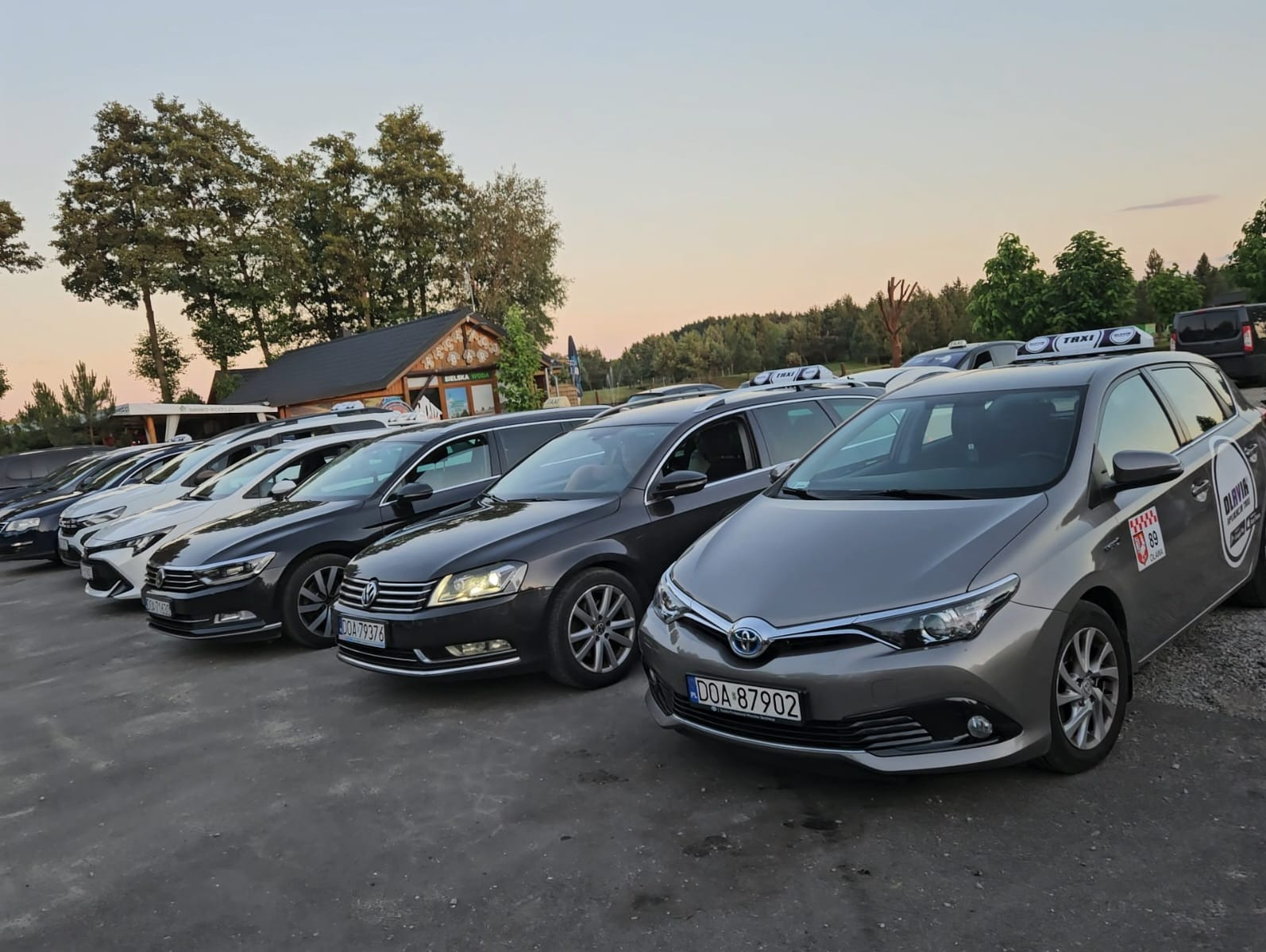 Rząd zaparkowanych taksówek różnych marek i kolorów z charakterystycznymi lampami taxi na dachu, na tle drzew i budynku z napisem 'Bielska Woda'.