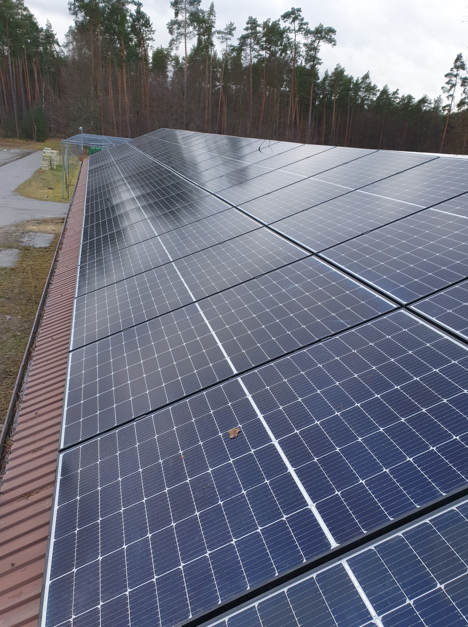 Rząd paneli słonecznych na dachu z blachy trapezowej, pojedynczy brązowy liść leżący na jednym z paneli, w tle las iglasty pod pochmurnym niebem.