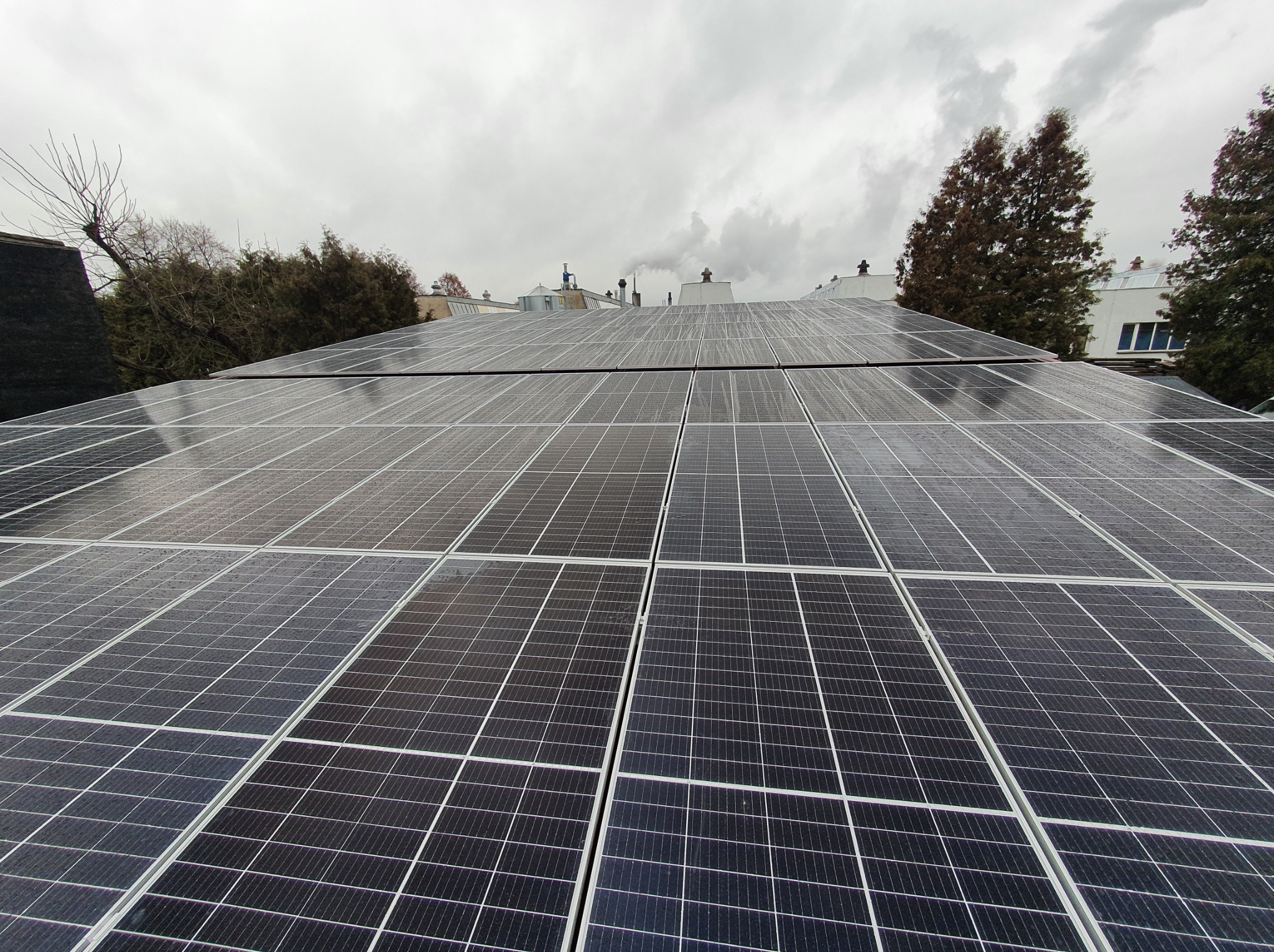 Widok z dołu na panele słoneczne na dachu budynku w pochmurny dzień, z widocznymi drzewami i kominami w tle.