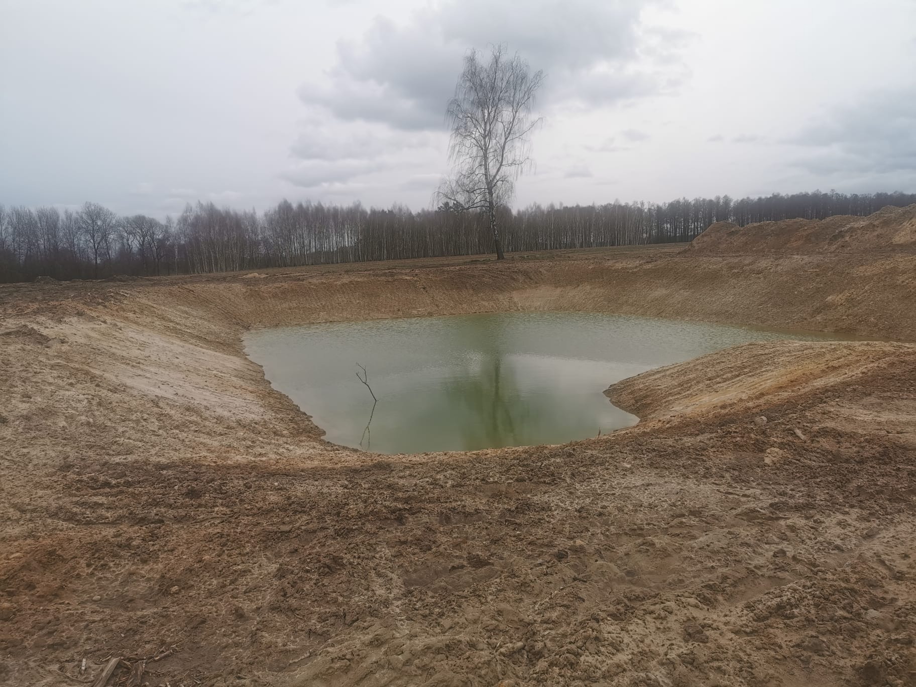 Nowo wykopany staw wypełniony wodą, otoczony ziemią, z samotną brzozą na brzegu i lasem w tle pod pochmurnym niebem.