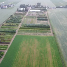 Widok z lotu ptaka na szk&oacute;łkę drzew i krzew&oacute;w ozdobnych z r&oacute;żnymi gatunkami roślin posadzonych w rzędach, otoczoną polami uprawnymi i zabudowaniami gospodarczymi.