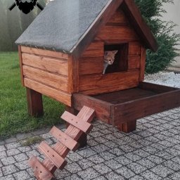 Brodaty stolarz Michał Pajek - Drewniana budka dla kota z drabinką, pomalowana na brązowo, z szarym dachem, na tle zieleni, z ciekawością wyglądającym z wnętrza rudym kotem.