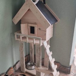 Brodaty stolarz Michał Pajek - Drewniany domek dla kota z drabinką i miską, na którym stoi czarno-biały kot. W tle widoczne logo firmy.