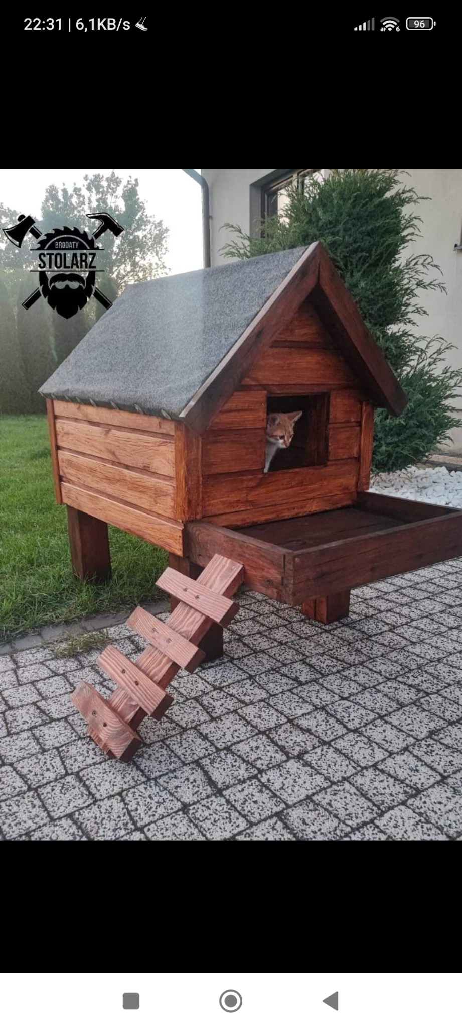 Drewniana budka dla kota z drabinką, pomalowana na brązowo, z szarym dachem, na tle zieleni, z ciekawością wyglądającym z wnętrza rudym kotem.