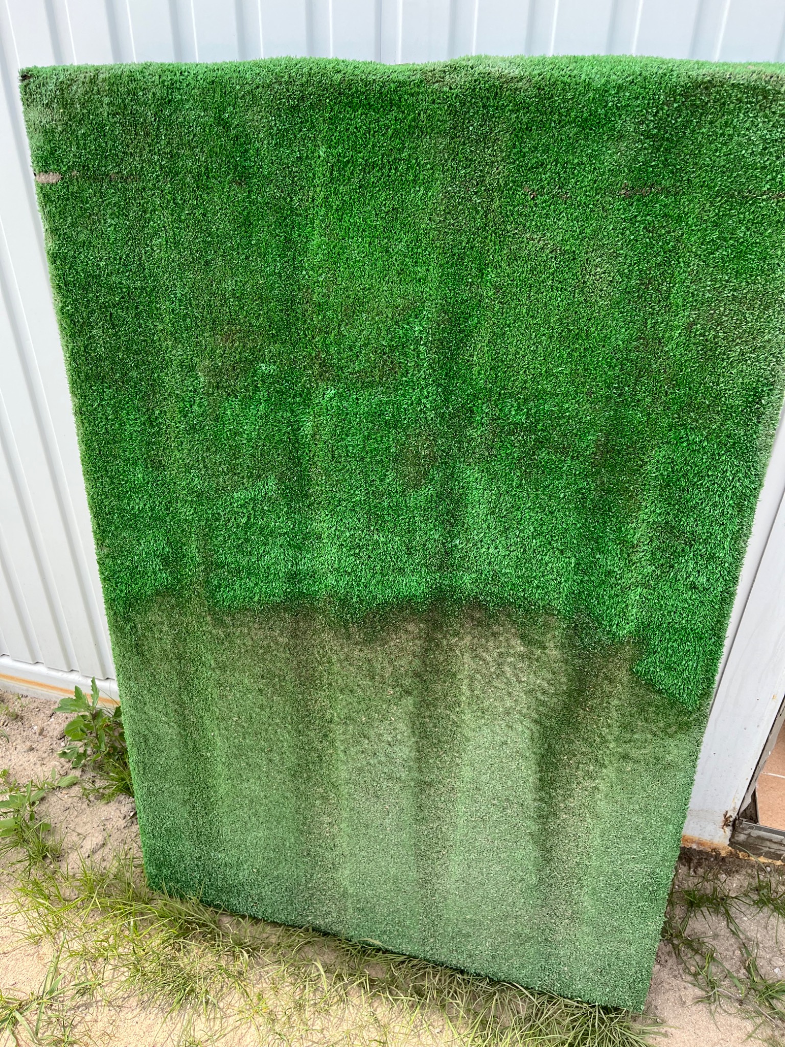 Rolka sztucznej trawy oparta o białą blachę falistą, widoczne różnice w odcieniach zieleni na powierzchni trawy, piasek i trawa u podstawy.