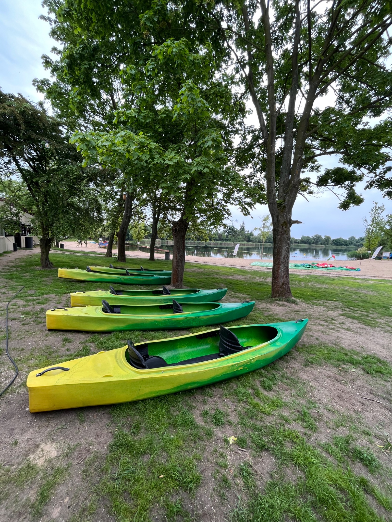 Rząd pięciu kajaków w odcieniach żółci i zieleni leży na trawie pod drzewami, w tle widoczny brzeg jeziora i piaszczysta plaża.