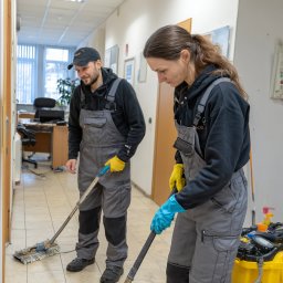 Sprzątanie biur Emilia 4