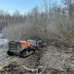 Pomarańczowy mulczer gąsienicowy w trakcie wycinki krzewów i gałęzi w zimowym krajobrazie z resztkami śniegu.