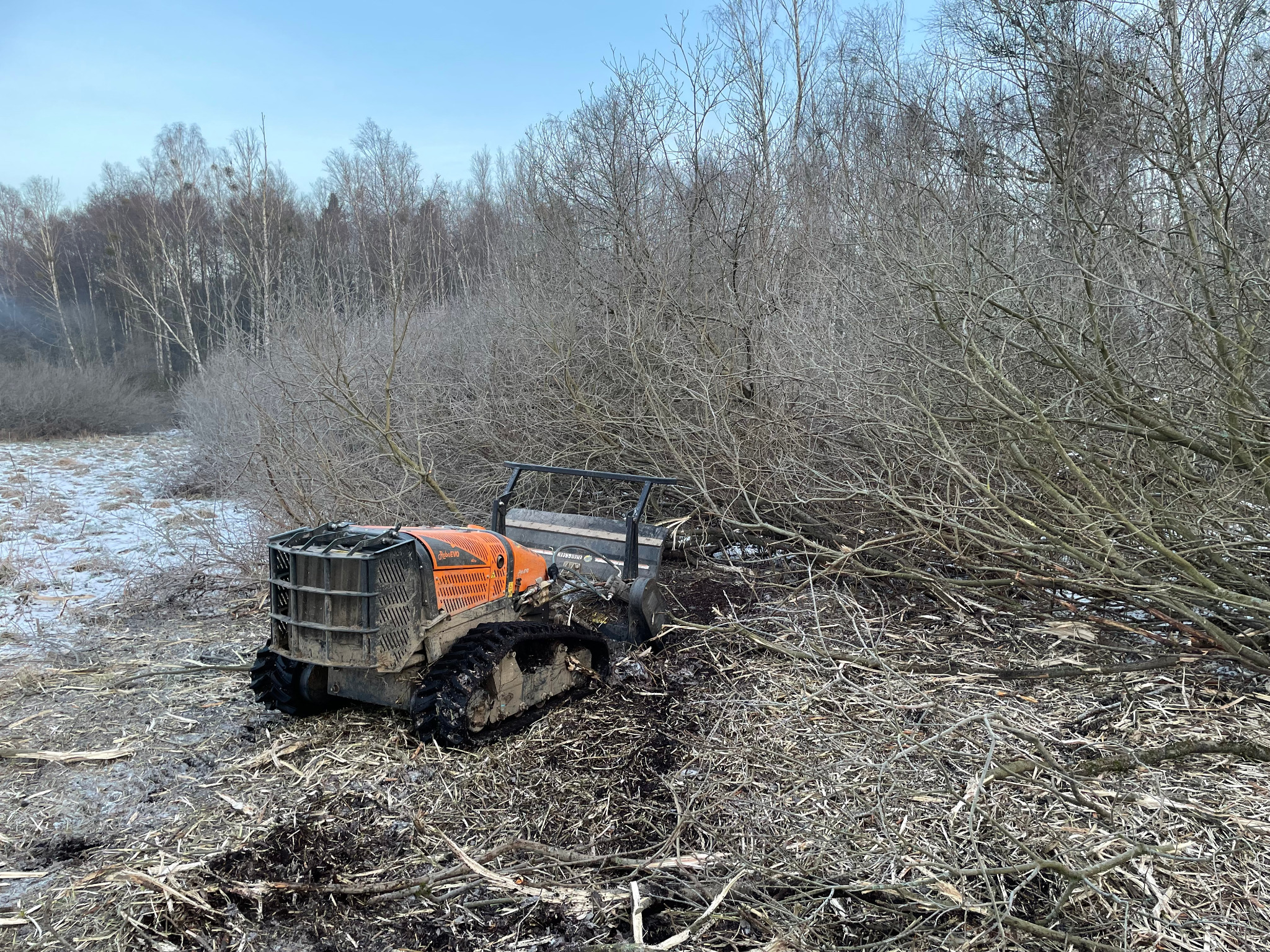 Pomarańczowy mulczer gąsienicowy w trakcie wycinki krzewów i gałęzi w zimowym krajobrazie z resztkami śniegu.