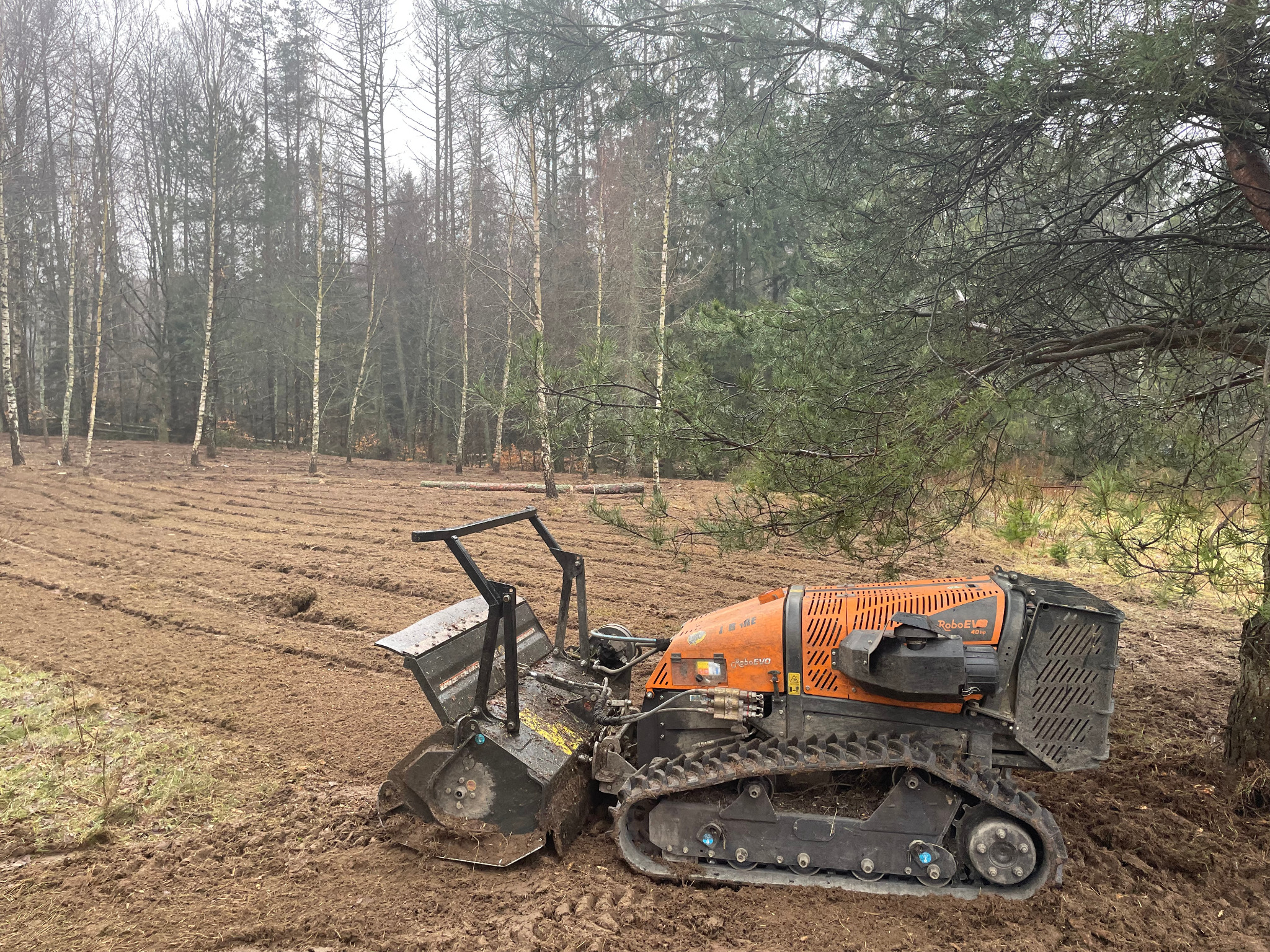 Pomarańczowa glebogryzarka gąsienicowa Robo EVO 40HP w trakcie pracy na polu, za nią widoczny las z przewagą brzóz, ziemia poorana w równych rzędach.