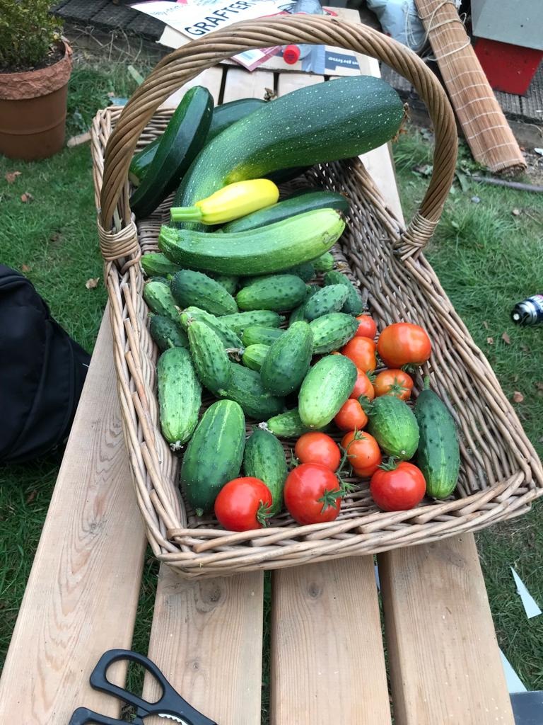 Grow your language skills organically with our natural learning approach!