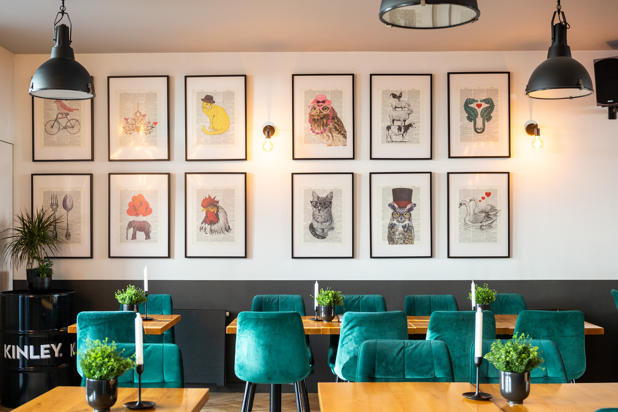 Wnętrze kawiarni z rzędem oprawionych grafik zwierząt w stylu vintage na białej ścianie nad szarą lamperią, turkusowe krzesła i drewniane stoliki z roślinami w doniczkach i świecami.