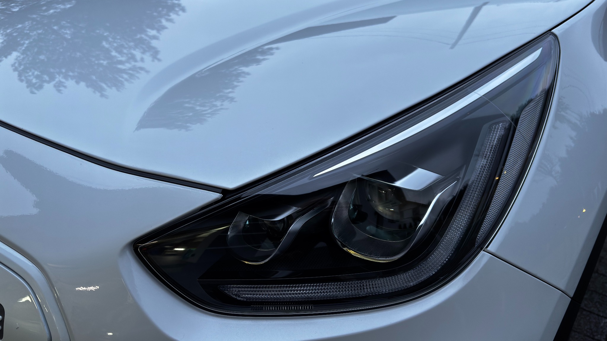 Reflektor białego samochodu marki Kia w Zagórzu, z widocznym odbiciem drzewa na karoserii.