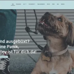 Strona internetowa z psem rasy terrier w roli głównej, prezentująca system lokalizacji zwierząt Bailey.finde.mich.ch, z widocznym menu nawigacyjnym i hasłem 'Hund ausgebüxt? Keine Panik, Bailey ist...
