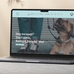 Edamame - Laptop prezentuje stronę internetową 'Bailey. Find Me' z psem i tekstem 'Dog escaped? Don't panic, Bailey is here for you!'. Cień rośliny w tle.