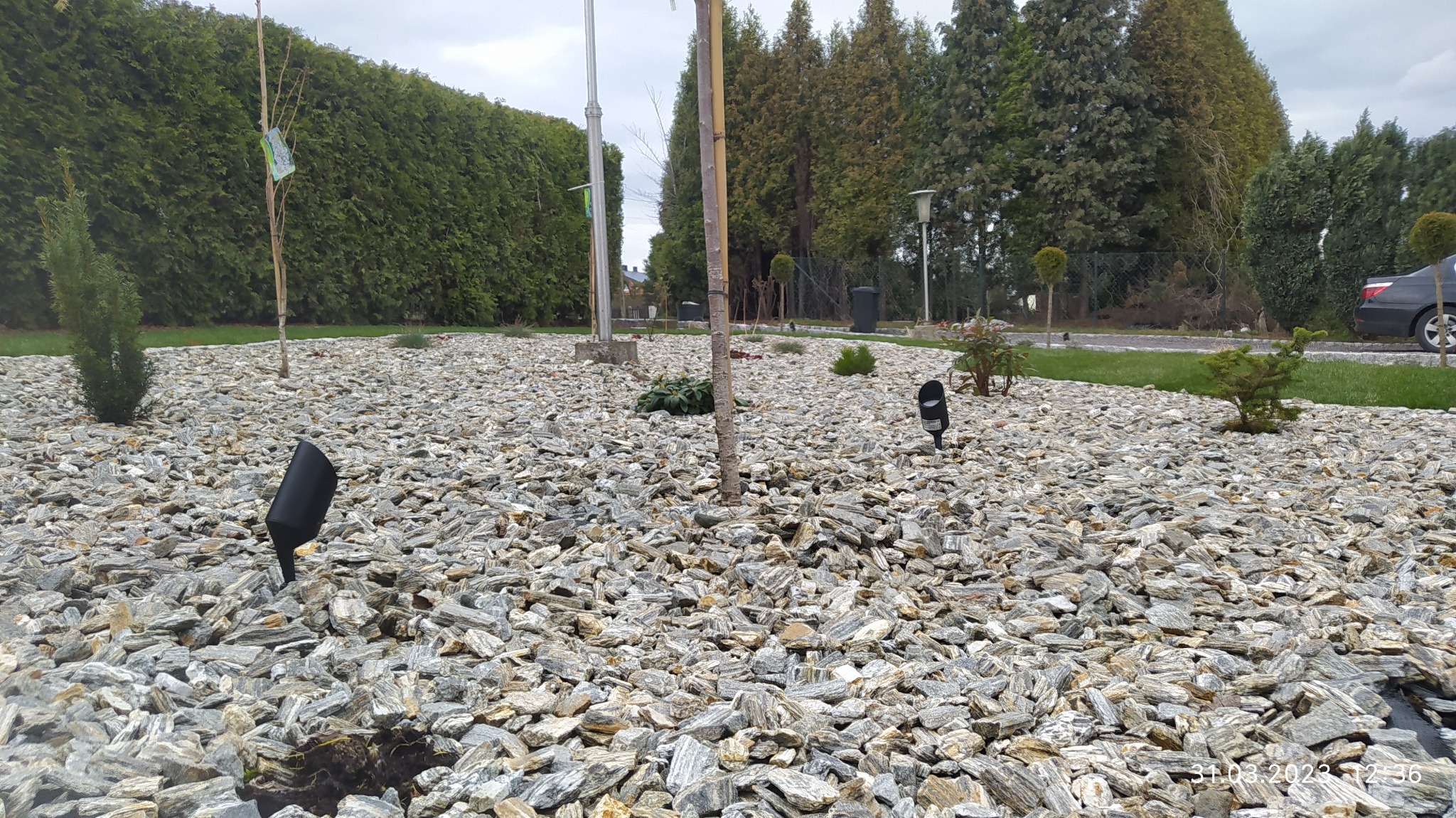 Ogród z wysypanym kamieniem ozdobnym, w którym zamontowano niskie, czarne lampy oświetleniowe, oświetlające małe drzewka i krzewy.