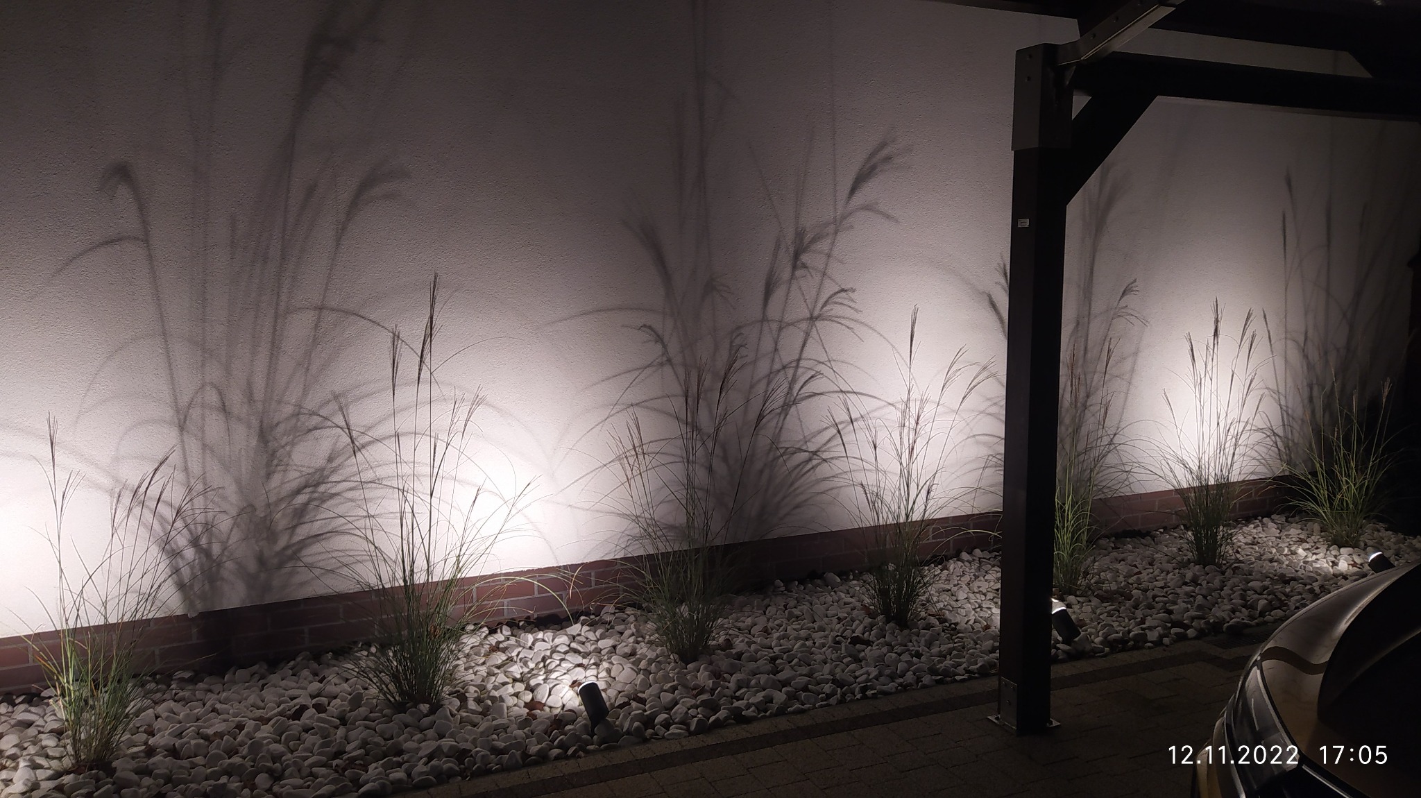 Oświetlenie dekoracyjne ogrodu z lampami punktowymi skierowanymi na trawę ozdobną, rzucającymi cienie na białą ścianę.