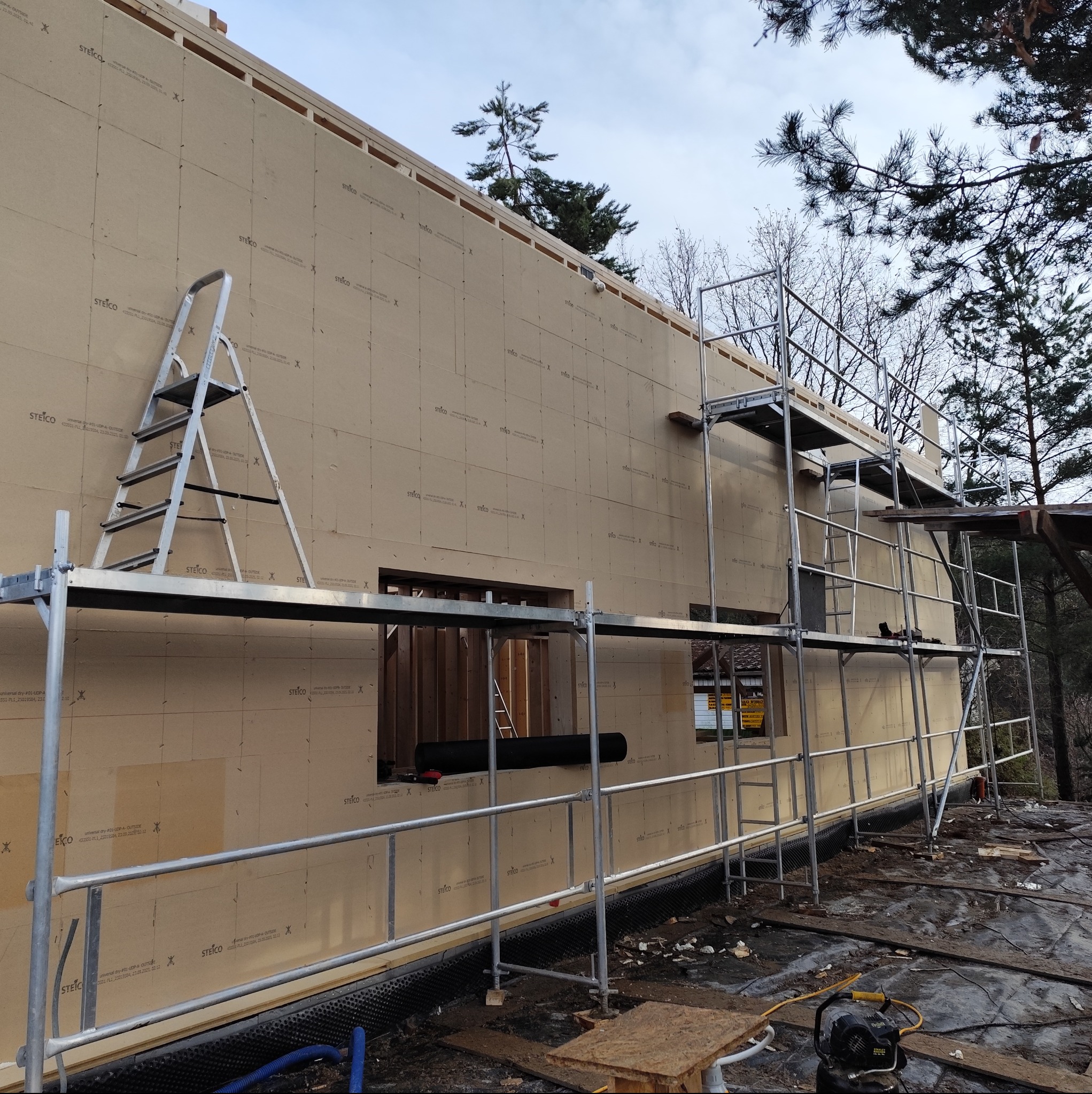 Budowa domu szkieletowego w trakcie: ściana z płyt STEICO, rusztowania i drabina. Widoczne okna w konstrukcji i narzędzia na ziemi. Ujęcie z dołu, drzewa w tle.