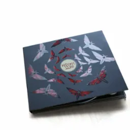 Płyta CD w czarnym opakowaniu z grafiką przedstawiającą motyle w odcieniach czerwieni i szarości, z logo 'HEKTIK SUN' w okręgu.