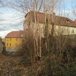 Widok na budynki mieszkalne przez gęstwinę suchych gałęzi i opadłych liści jesienią.