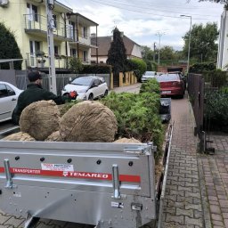 Pielęgnacja ogrodów Kraków 1