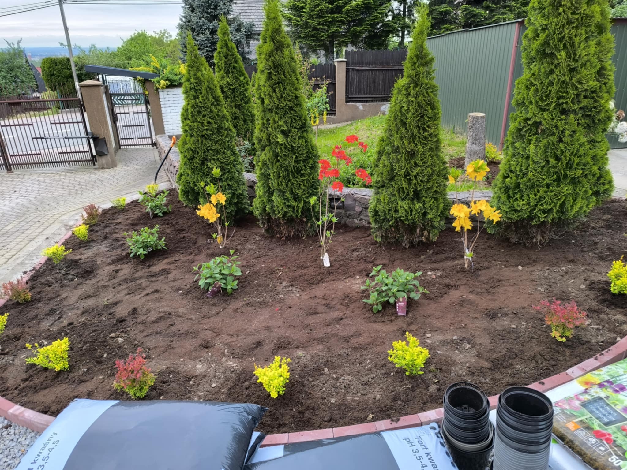 Nowo założony ogród z tujami, kolorowymi kwiatami i krzewami na tle ogrodzenia. Worki z torfem i doniczki sugerują świeże nasadzenia.