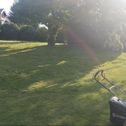 Pielęgnacja ogrodów Kraków 4