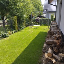 Mariusz Mieczkowski - Zadbany trawnik w ogrodzie z huśtawką i stosem drewna przy ścianie domu. Widoczne drzewa, krzewy i ogrodzenie. Cień na trawie.