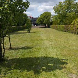 Mariusz Mieczkowski - Wypielęgnowany trawnik z równo przystrzyżoną trawą, otoczony żywopłotem i drzewami w słoneczny dzień. Widoczne cienie drzew na trawie, budynek w tle.