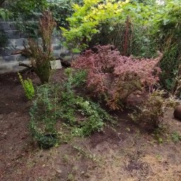 Pielęgnacja ogrodów Kraków 2