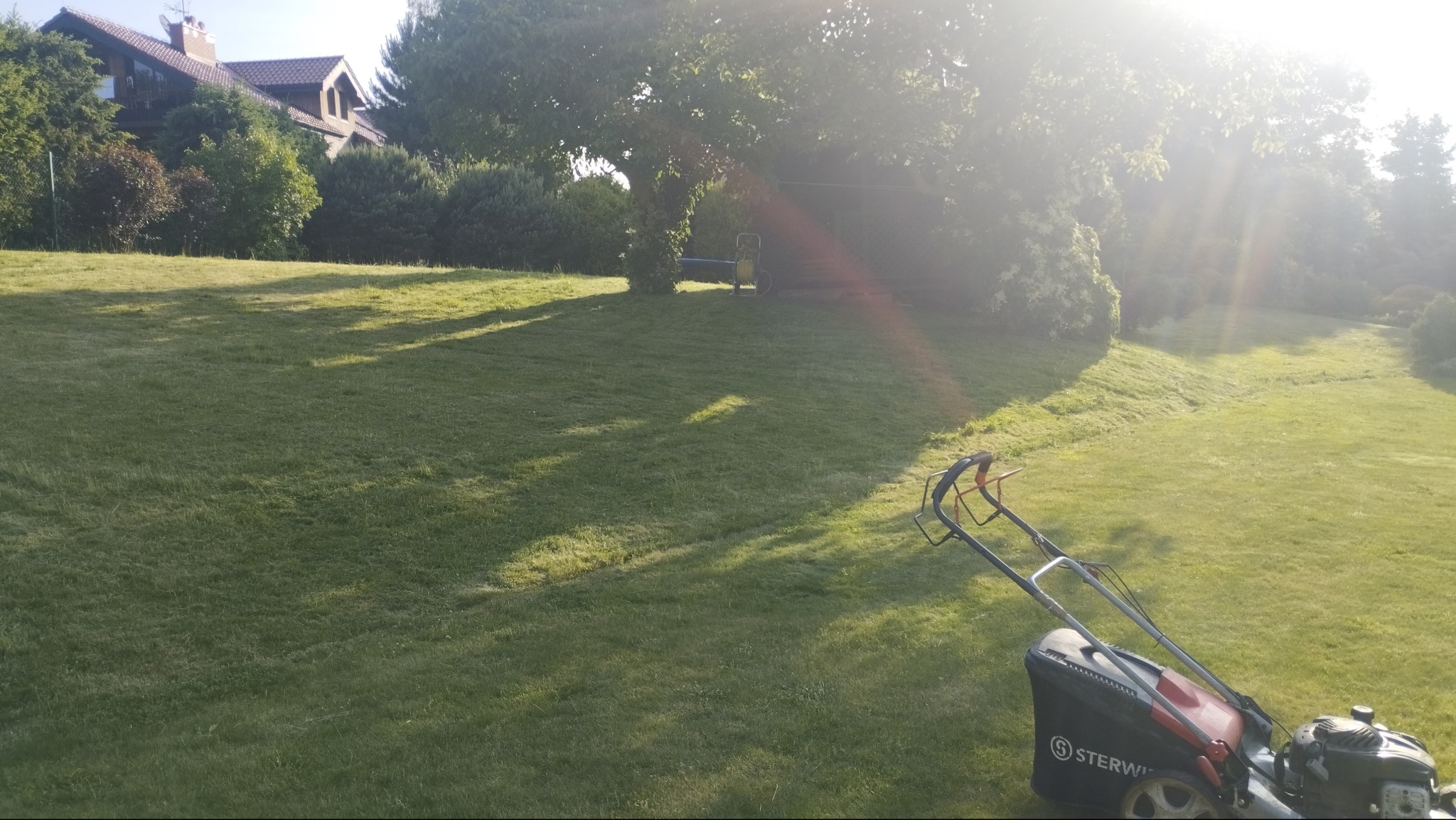 Świeżo skoszony trawnik w słoneczny dzień, widoczna kosiarka i dom w tle. Pas zieleni po koszeniu sugeruje regularną pielęgnację.