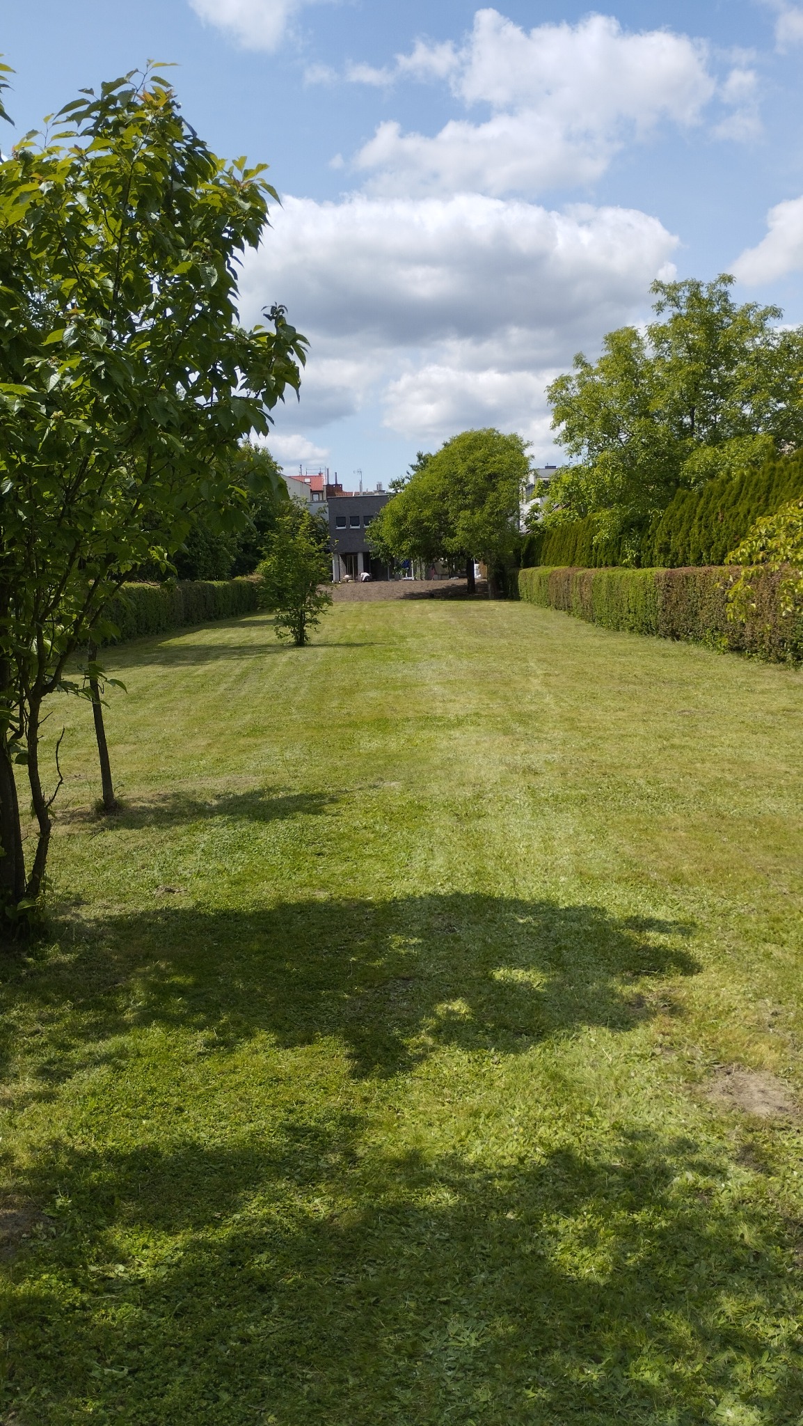 Wypielęgnowany trawnik z równo przystrzyżoną trawą, otoczony żywopłotem i drzewami w słoneczny dzień. Widoczne cienie drzew na trawie, budynek w tle.