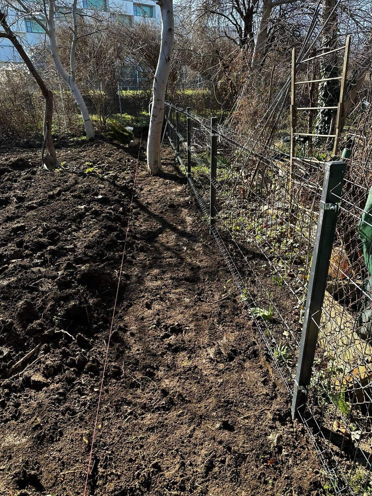 Fragment nowo montowanego ogrodzenia z siatki, widoczne słupki i rozciągnięta linka wyznaczająca linię, ziemia rozkopana, w tle drzewa bez liści i budynek.