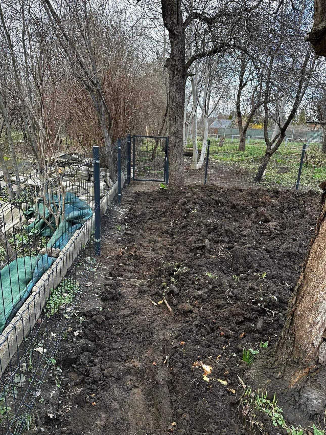 Wkopany fragment ogrodzenia panelowego z bramką w ziemi, widok na przygotowany teren pod ogród wczesną wiosną.