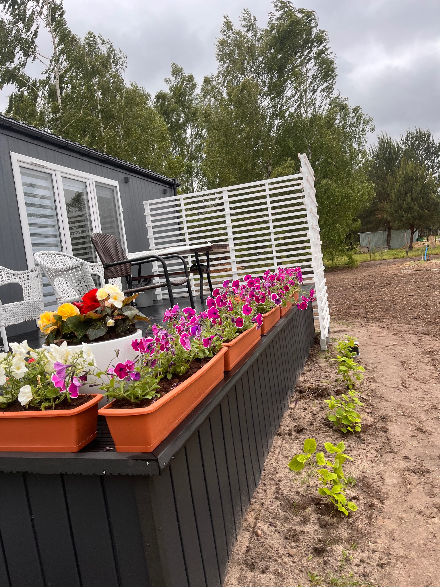 Umeblowany taras z białym ażurowym ogrodzeniem i kwiatami w donicach, widok na ogród i drzewa w tle, szara elewacja domu.