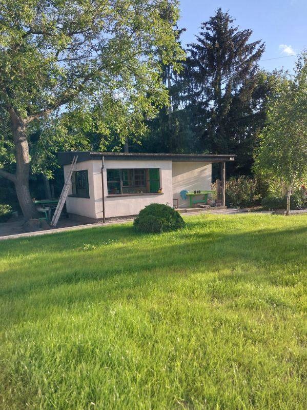 Niski, parterowy budynek z płaskim dachem, świeżo pomalowany na kremowo, z zielonymi okiennicami i drabiną opartą o ścianę, otoczony zielonym trawnikiem i drzewami.