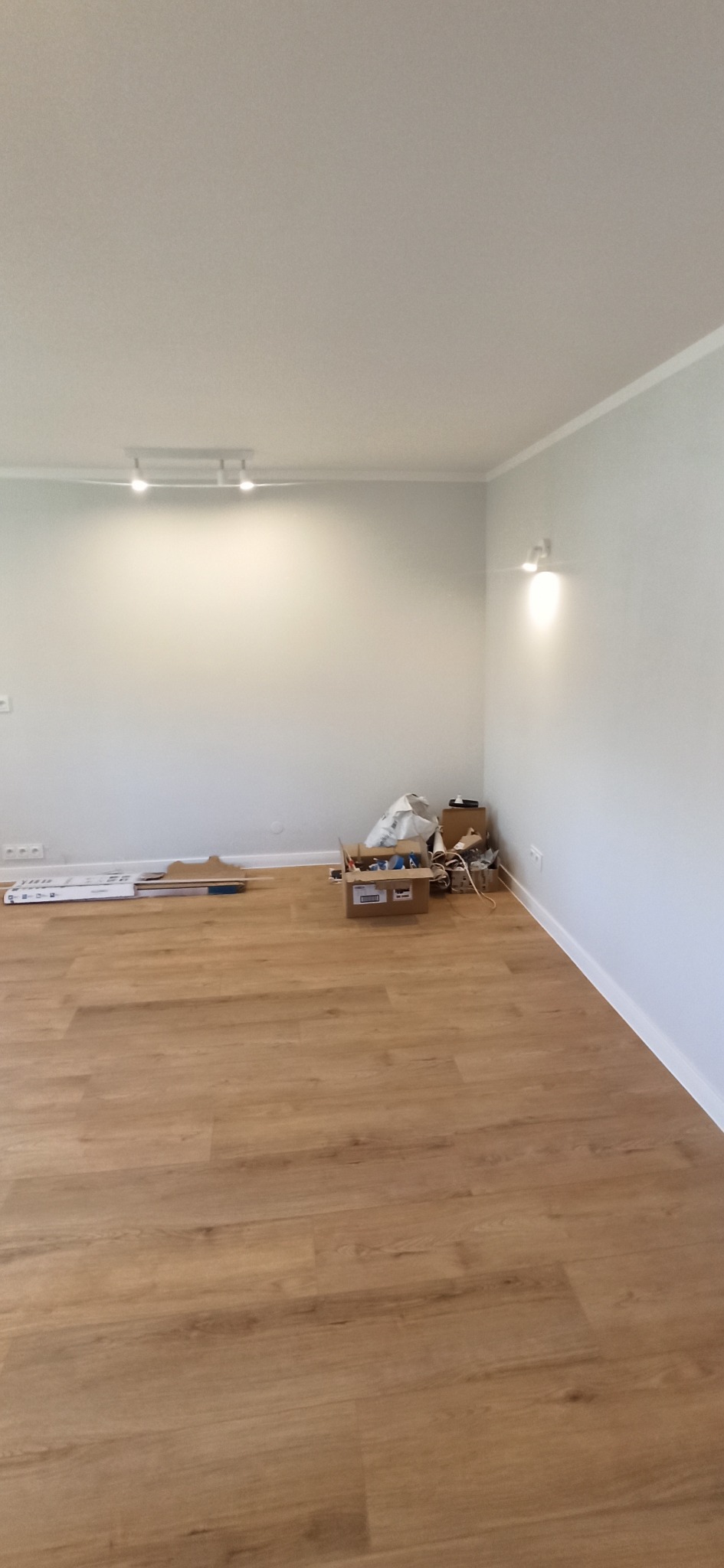 Jasne panele podłogowe w nowym wnętrzu, ściany w odcieniach szarości. Widoczne listwy przypodłogowe i karton z akcesoriami. Minimalistyczne oświetlenie sufitowe.