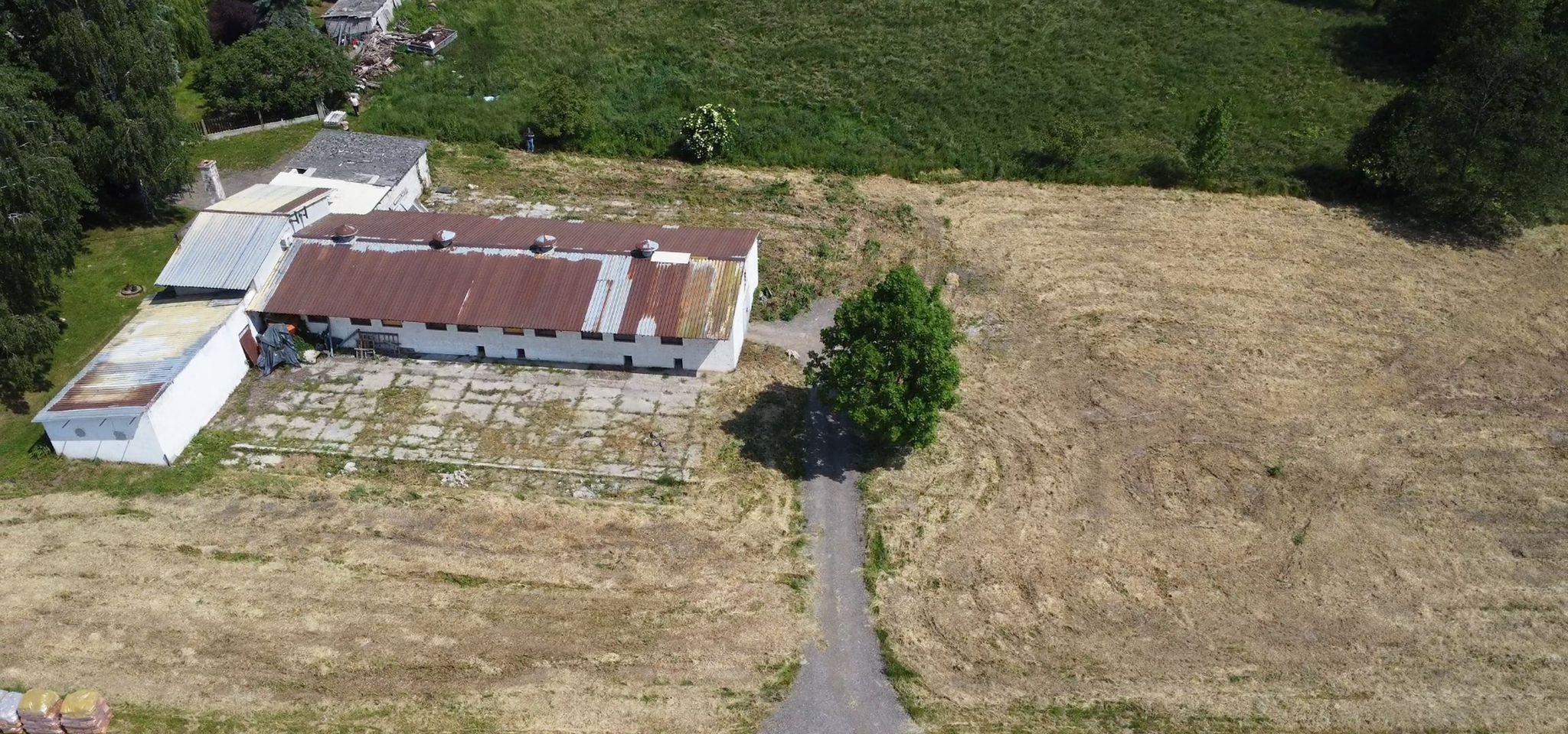 Widok z drona na zaniedbany teren z budynkami gospodarczymi i suchą trawą, zarośnięty plac przed budynkiem, droga gruntowa prowadząca do drzewa.